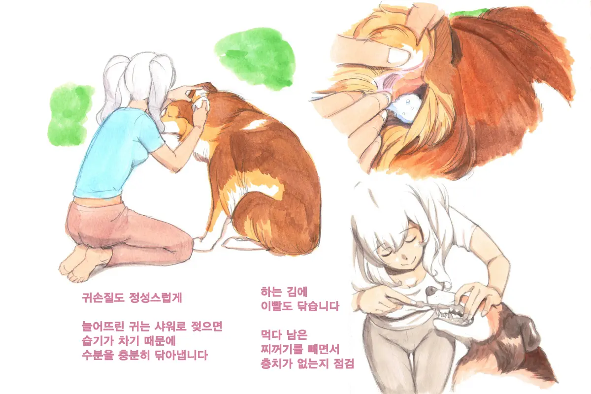 Himitsu No Inukko Club Sweet | 비밀의 강아지 클럽 Sweet